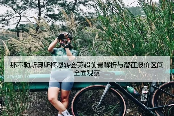 那不勒斯奥斯梅恩转会英超前景解析与潜在报价区间全面观察