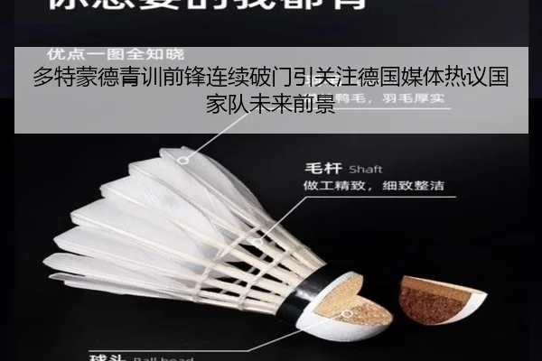 多特蒙德青训前锋连续破门引关注德国媒体热议国家队未来前景